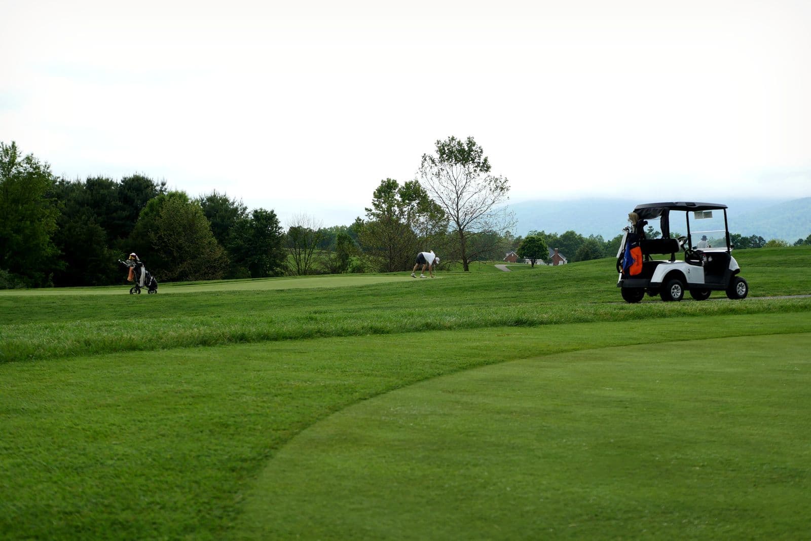 Golf course surrounded by nature